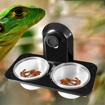 HobbyLane Plaz Obojživelníky Vody Misy Pet Lizard Potravín Miska Umývadlo